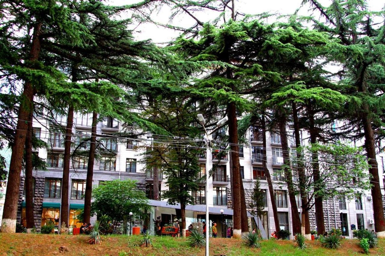 Rustaveli Residence III ティビリシ エクステリア 写真